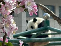 -天津市动物园
