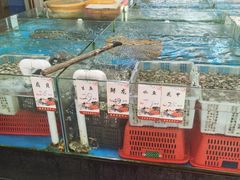 水产区-庭苑美食中心·陈皮烧鹅·海鲜(台山店)