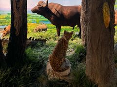 -国家自然博物馆