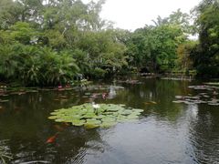 -中国科学院西双版纳热带植物园