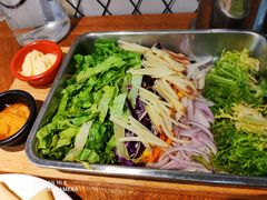 蔬菜沙拉-臻炙大舍烤串(天龙家园店)