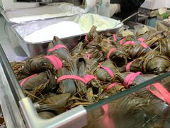 -和田爱乐塔西娜刨冰粽子