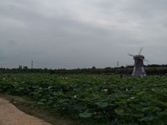 -武汉紫薇都市田园