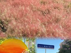 -沂蒙云瀑洞天景区