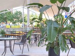 -绿韵风情吧(三峡广场店)