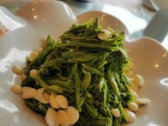 松针白果-金家老三饭庄(常营店)
