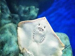 -福州罗源湾海洋世界旅游区