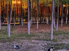 -艾溪湖湿地公园