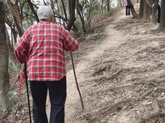 -火炉山森林公园