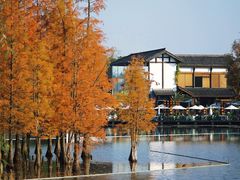 -白鹭湾湿地公园