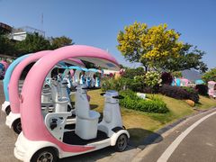 -芒洲湿地公园