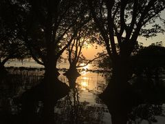 -宝安西湾红树林湿地公园