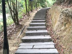 -永安龟山公园