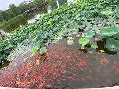 -西海子公园