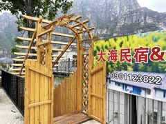 -大海别墅民宿农家院(十渡店)