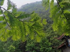 -神龙峡风景区