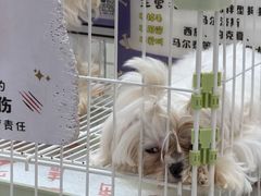 -金牛万达广场