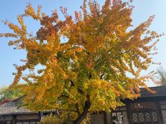 -卧龙堡客栈·中餐厅(古北水镇店)