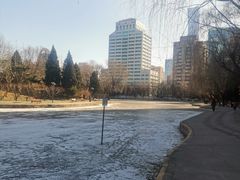 -团结湖公园