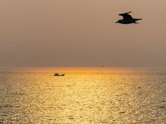 -辽宁团山国家级海洋公园