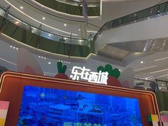-凯德广场(西城店)