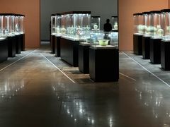 -宁波美术馆
