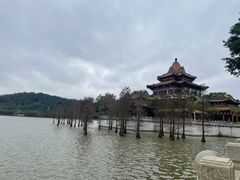 -顺峰山公园