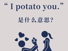 -引领英语·成人口语·雅思托福