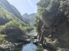 -黑河国家森林公园