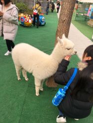 -萌宠亲子动物乐园(槐房万达店)