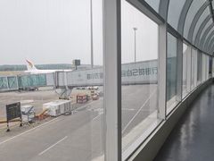 -绵阳南郊机场