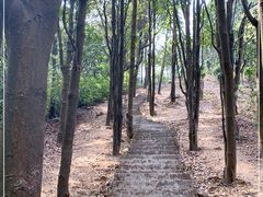 -广州市帽峰山景区