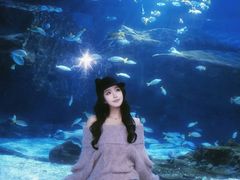 -海合安武汉极地海洋公园