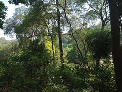 -广西壮族自治区药用植物园