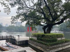 -荔湾湖公园