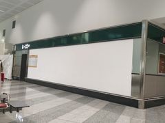 -米兰马尔彭萨国际机场