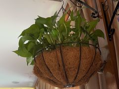 -观盐·盐帮菜(官园桥店)