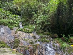 -广州市白云山风景名胜区