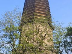 -广佑寺风景区