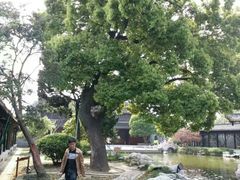 -口岸雕花楼
