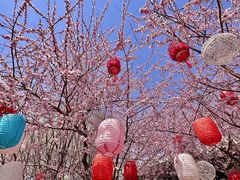 -三里河公园
