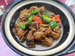 -国生茶庄·地道农家菜团建活动