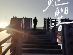 -顺峰山公园