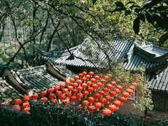 -宁波市保国寺古建筑博物馆