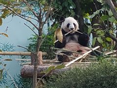 -南宁市动物园