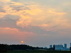 -瑶湖郊野森林公园