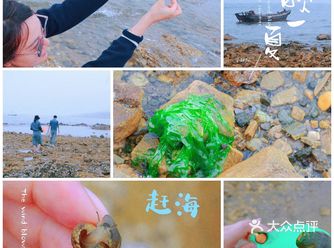 青岛赶海：沉浸式收集海鲜大比拼 享受大海的乐趣