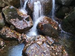 -牛背梁国家森林公园