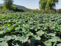 -苏州吴中太湖旅游区