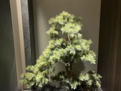 -浩运·海鲜青岛菜·海胆水饺(石老人店)